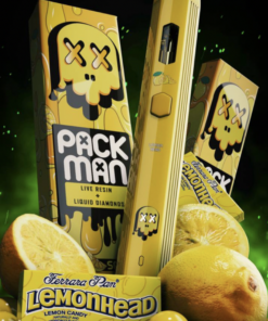 Lemon head