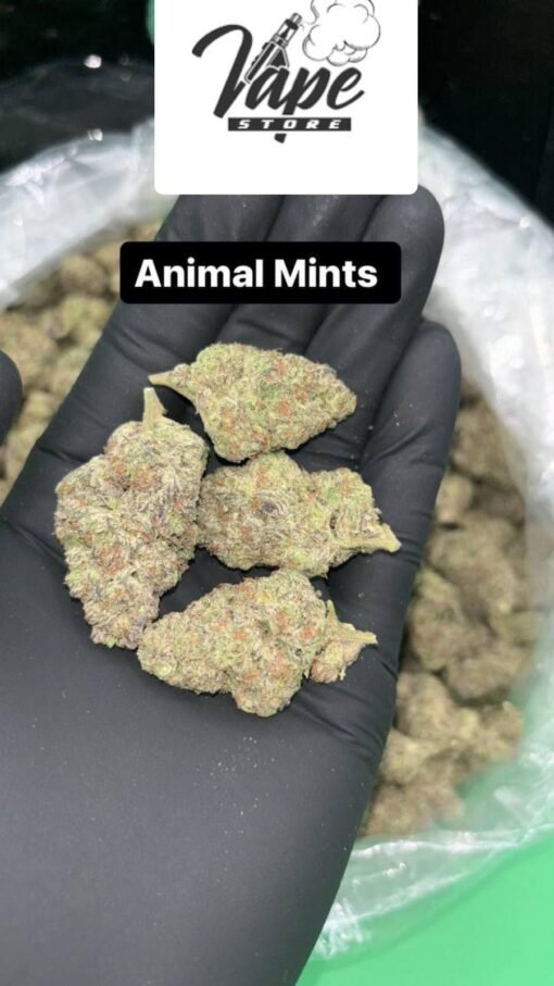 Animal Mintz Marijuana Strain