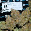 Buy Gelato 41 Weed