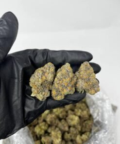 Buy Gelato 41 Weed