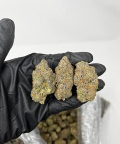 Buy Gelato 41 Weed