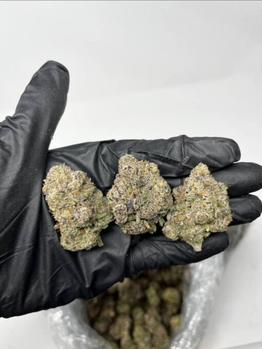 Buy Gelato 41 Weed