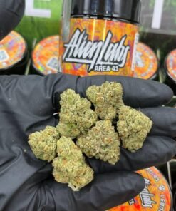 ALIEN LABS FLOWER 3.5G Premium Indoor Flower