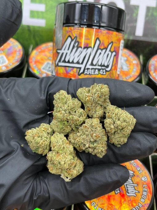 ALIEN LABS FLOWER 3.5G Premium Indoor Flower