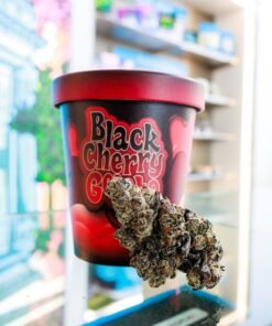 COOKIES CANNABIS FLOWER TUB 3.5G